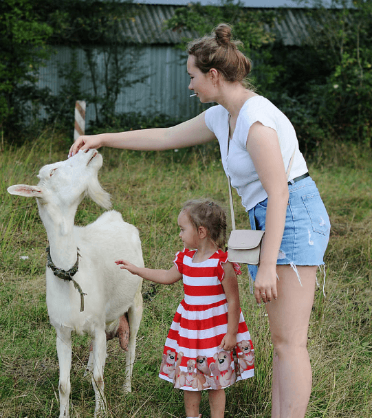 A woman and a young girl in a red dress are petting a white goat in a grassy outdoor area at The Grazery restaurant at Two Step Farm in Montgomery County TX.