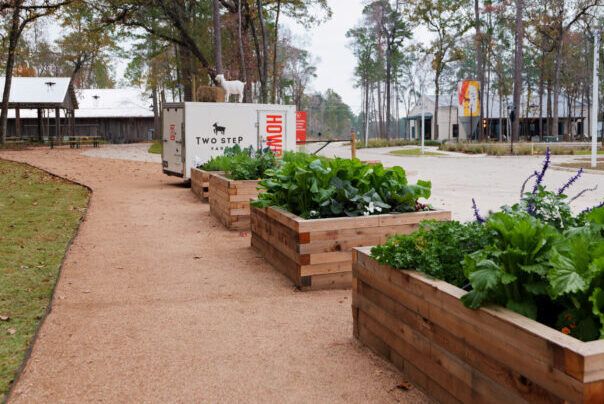 Raised wooden garden beds with leafy greens line a gravel path near a sign reading "Two Step" and "Houston," set against buildings and trees, just steps from The Grazery restaurant at Two Step Farm.